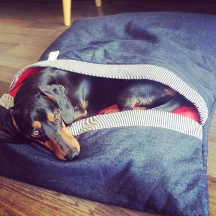 Cama-saco Mezclilla Cholo Wonder